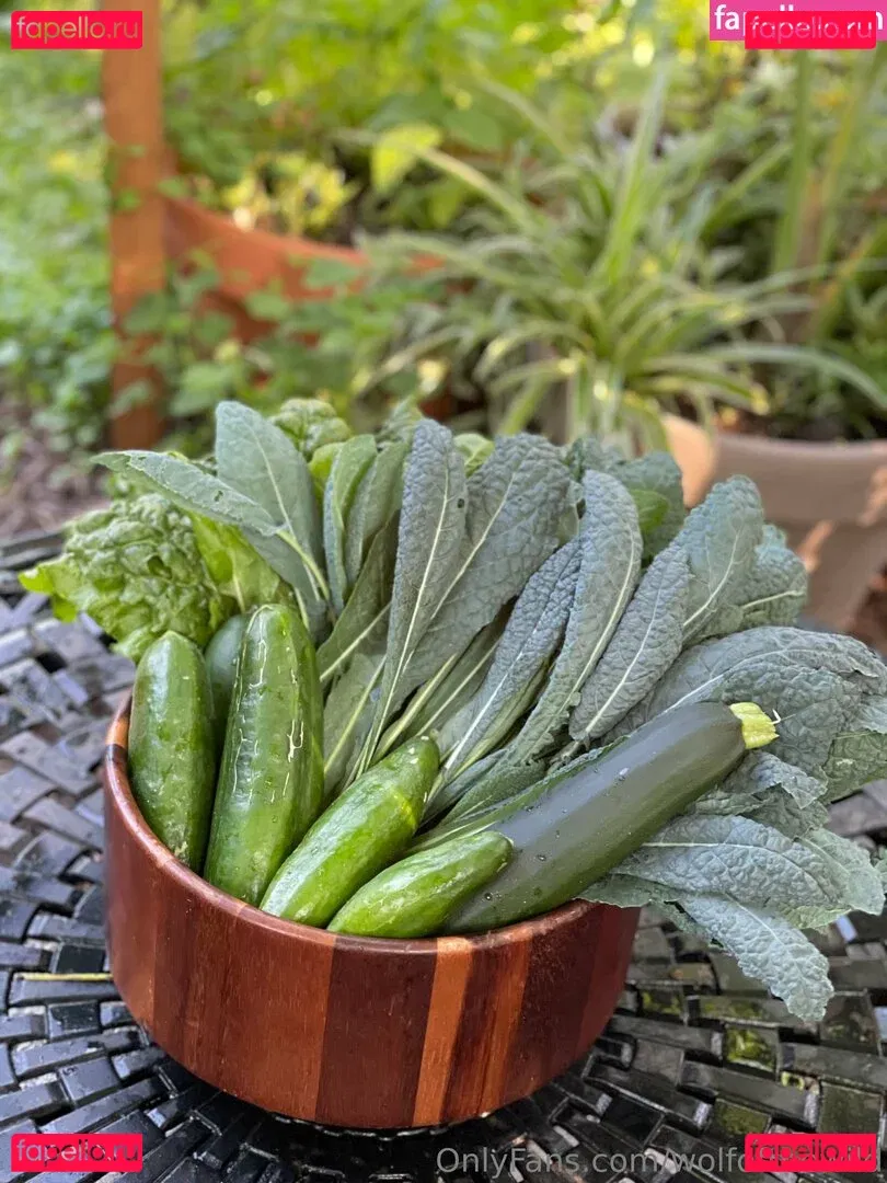 wolfofthewild Onlyfans Photo Gallery 