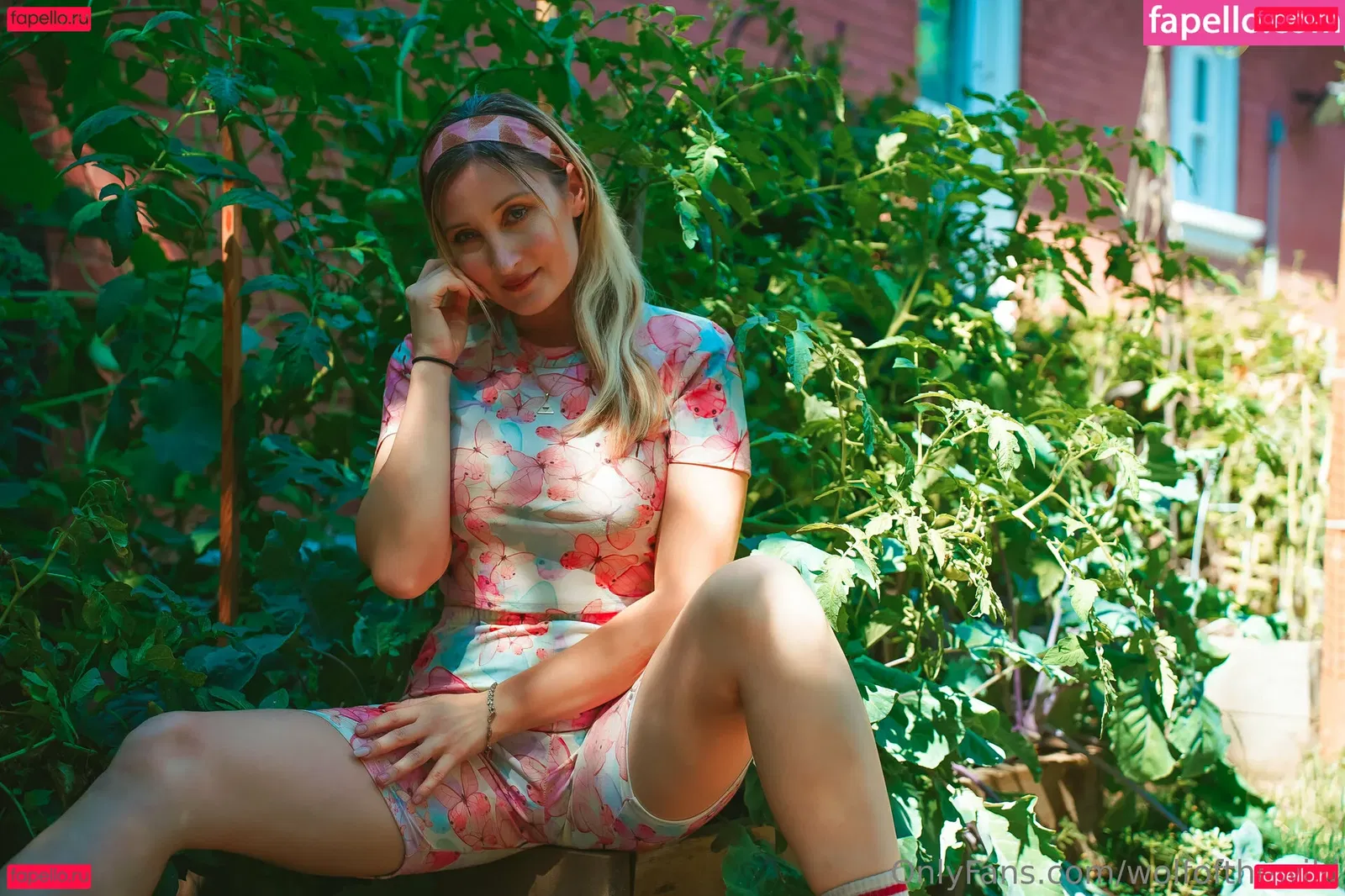 wolfofthewild Onlyfans Photo Gallery 