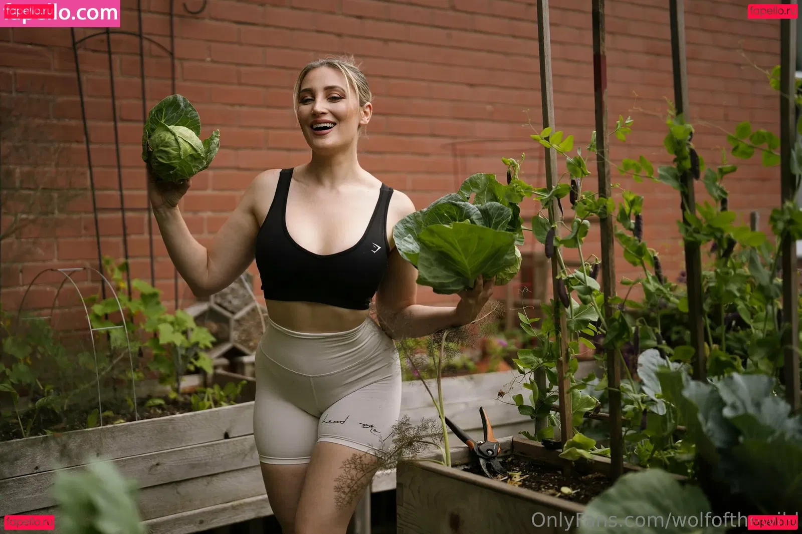 wolfofthewild Onlyfans Photo Gallery 