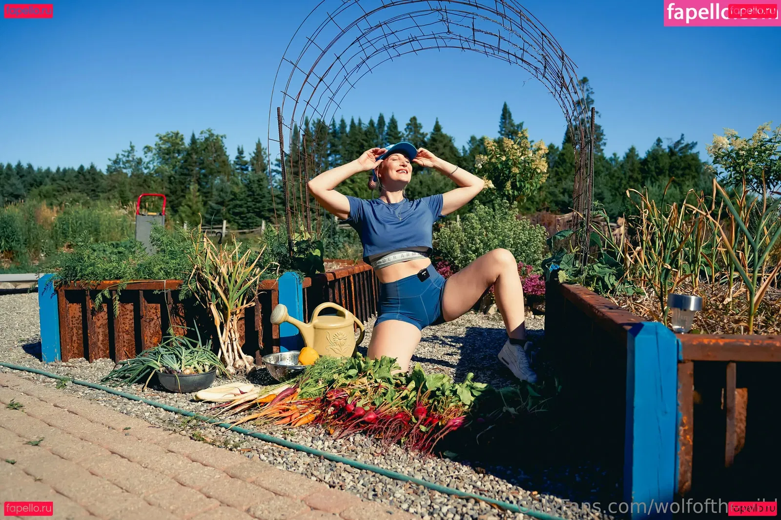 wolfofthewild Onlyfans Photo Gallery 