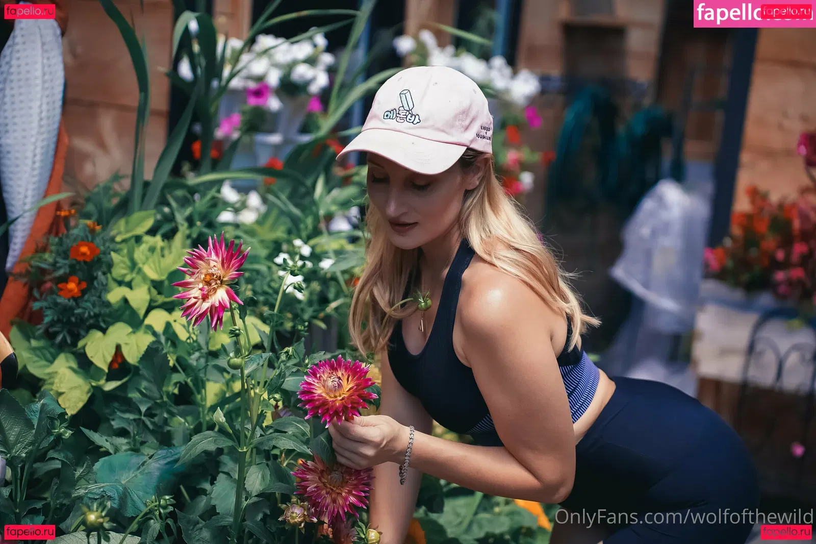 wolfofthewild Onlyfans Photo Gallery 