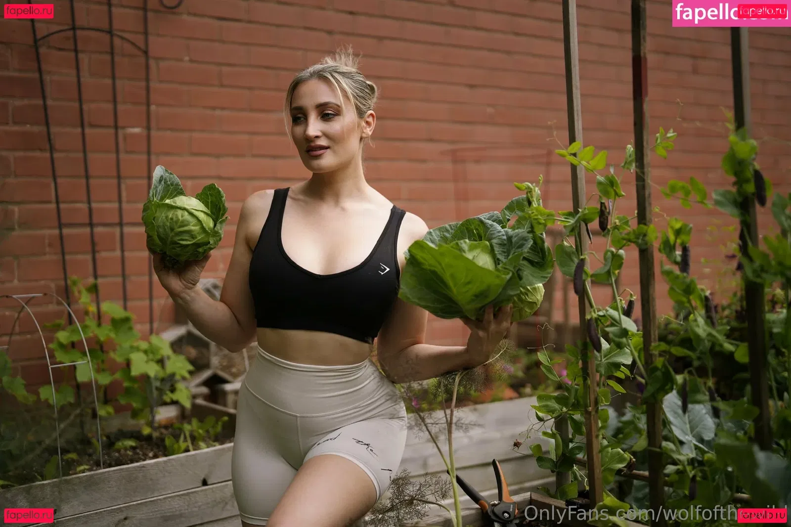 wolfofthewild Onlyfans Photo Gallery 