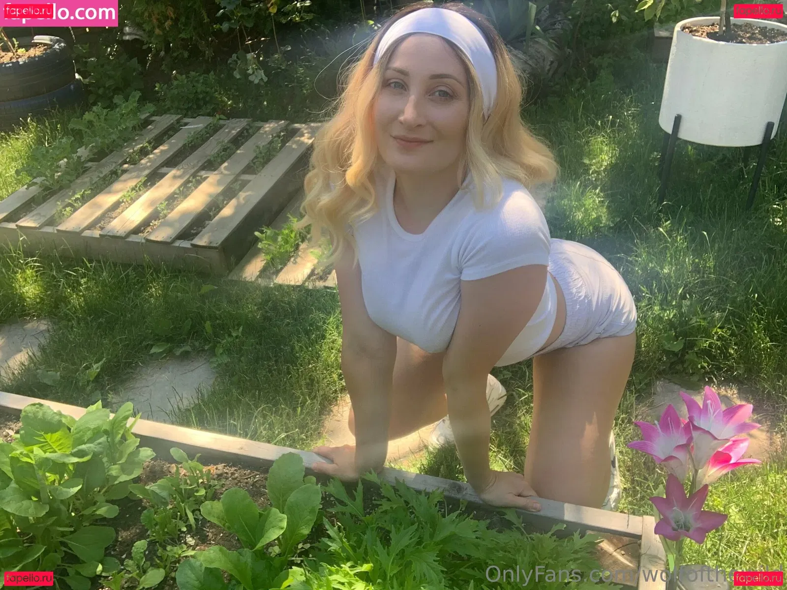 wolfofthewild Onlyfans Photo Gallery 