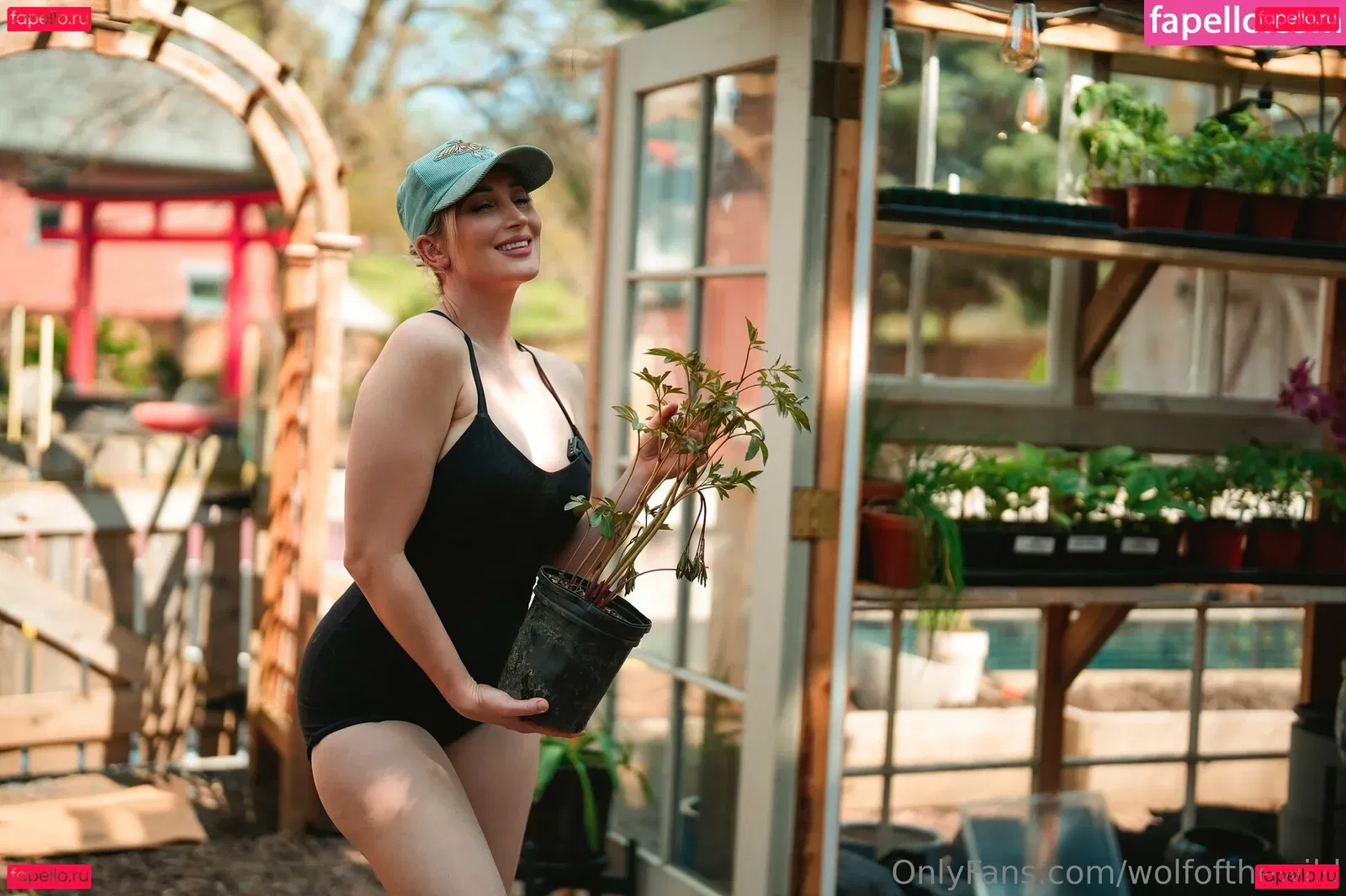 wolfofthewild Onlyfans Photo Gallery 