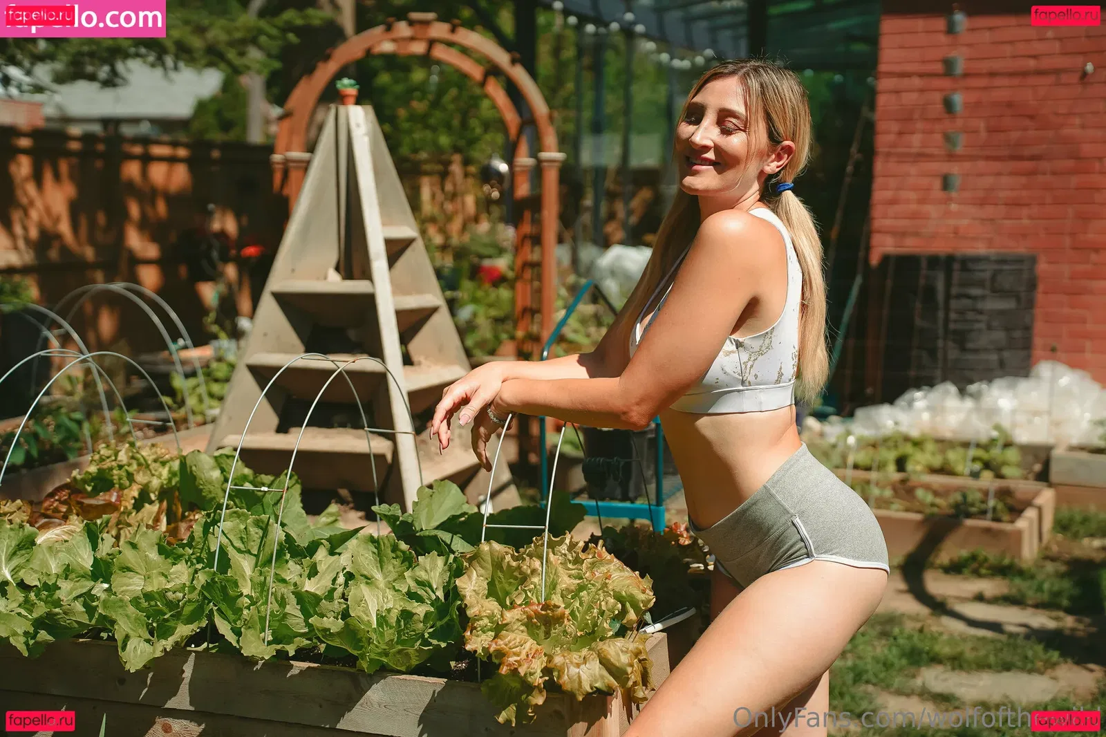 wolfofthewild Onlyfans Photo Gallery 