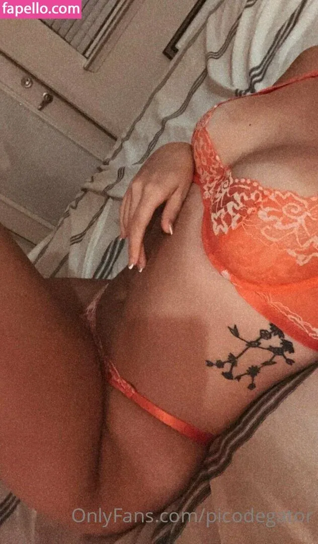 Picodegator Onlyfans Photo Gallery 