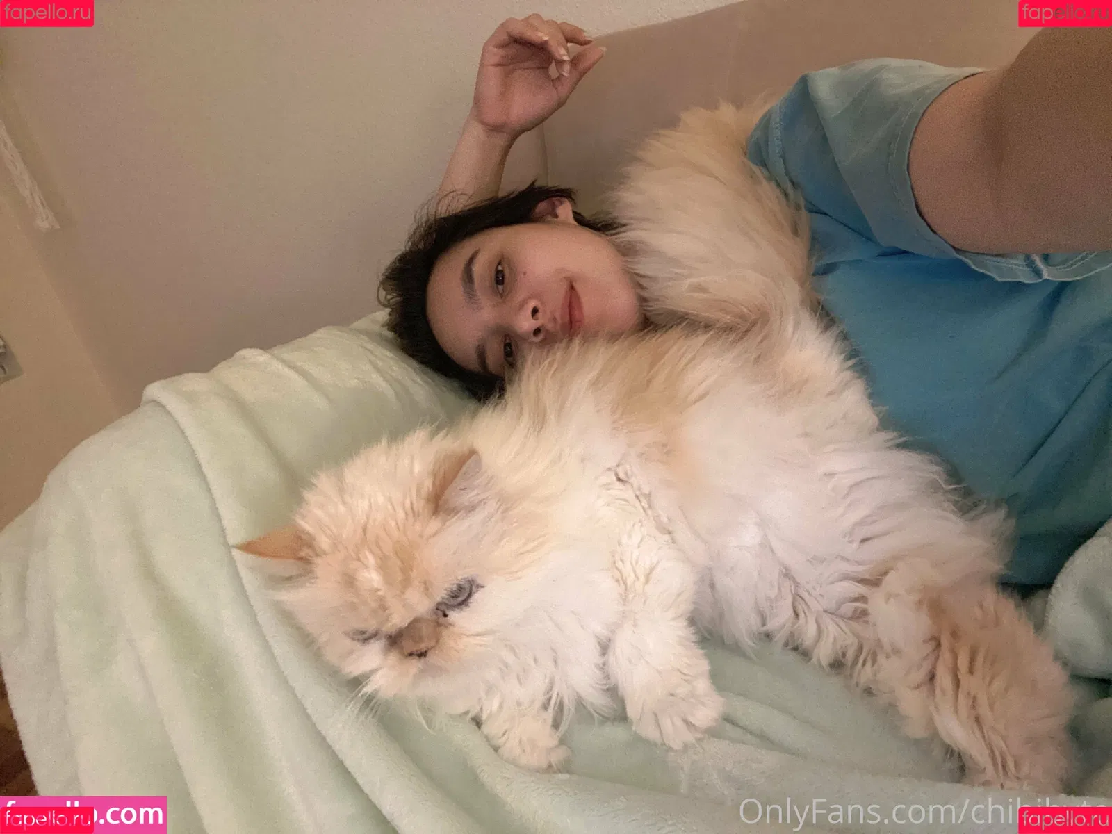 chibibyte Onlyfans Photo Gallery 