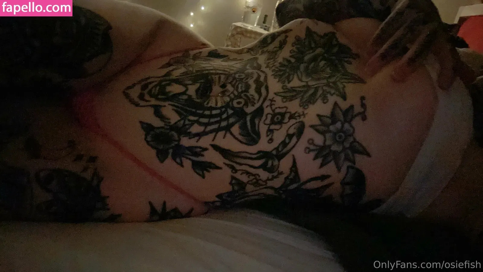 Osiefish Onlyfans Photo Gallery 