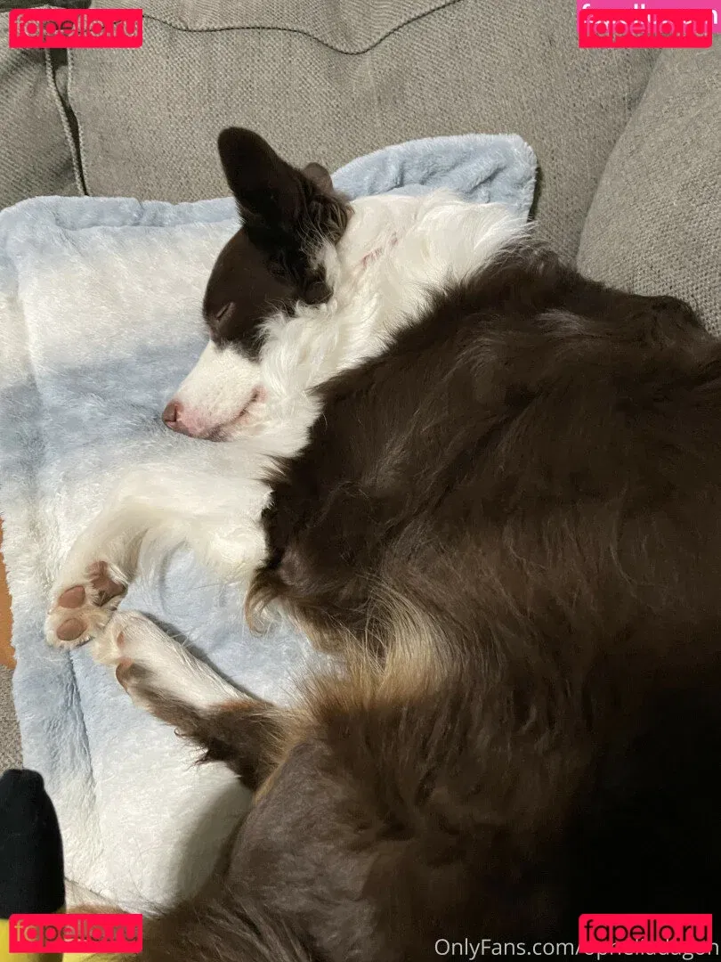 onlineevie Onlyfans Photo Gallery 