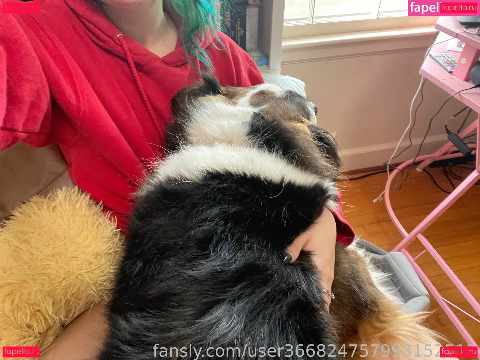 onlineevie Onlyfans Photo Gallery 