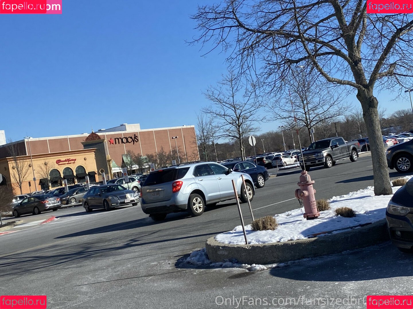 snaccs1zed Onlyfans Photo Gallery 