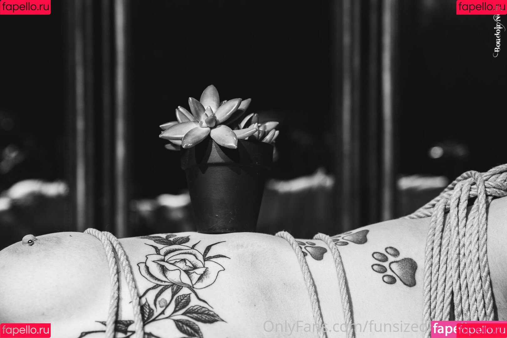 snaccs1zed Onlyfans Photo Gallery 