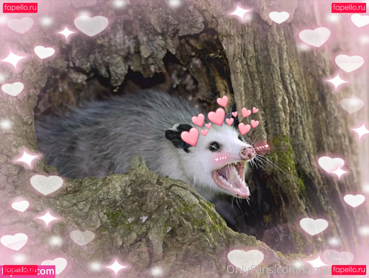 dioxamour Onlyfans Photo Gallery 