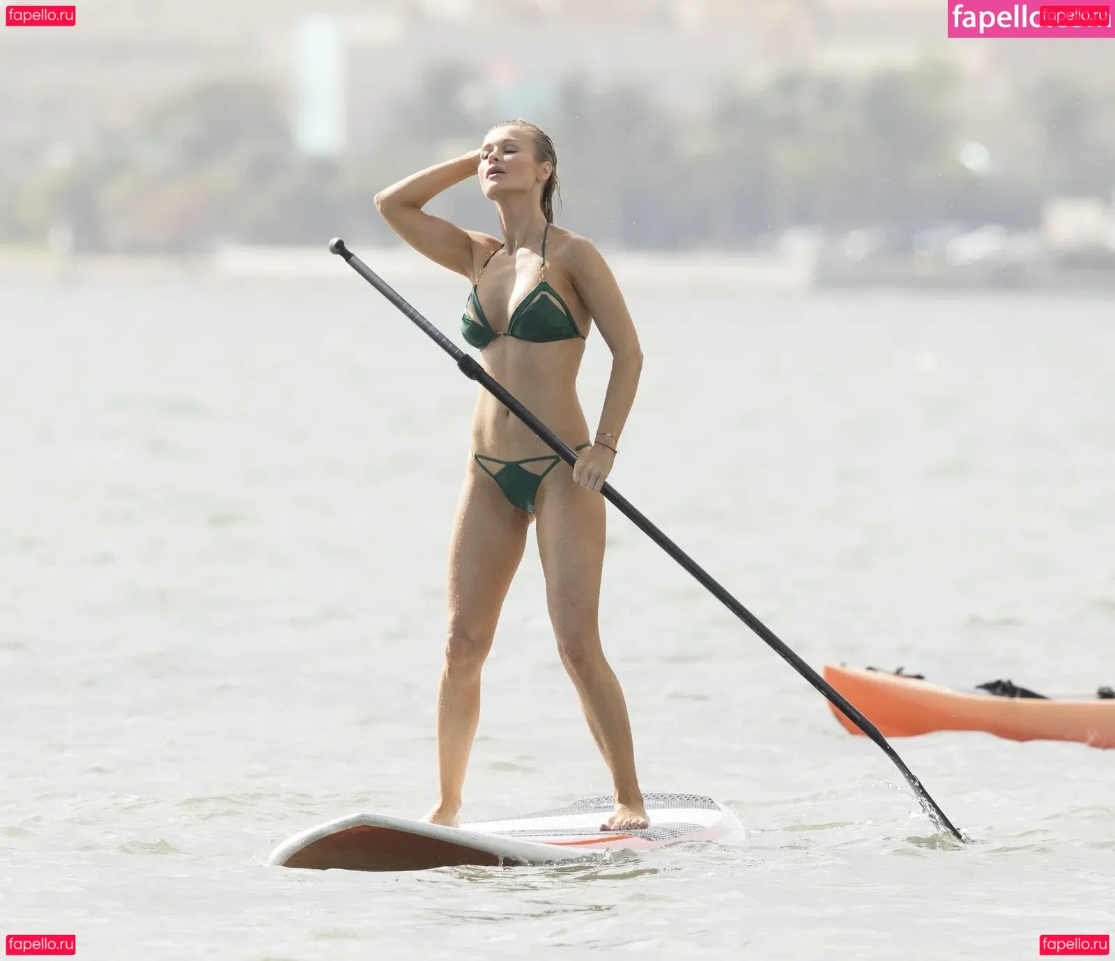 Joanna Krupa Onlyfans Photo Gallery 