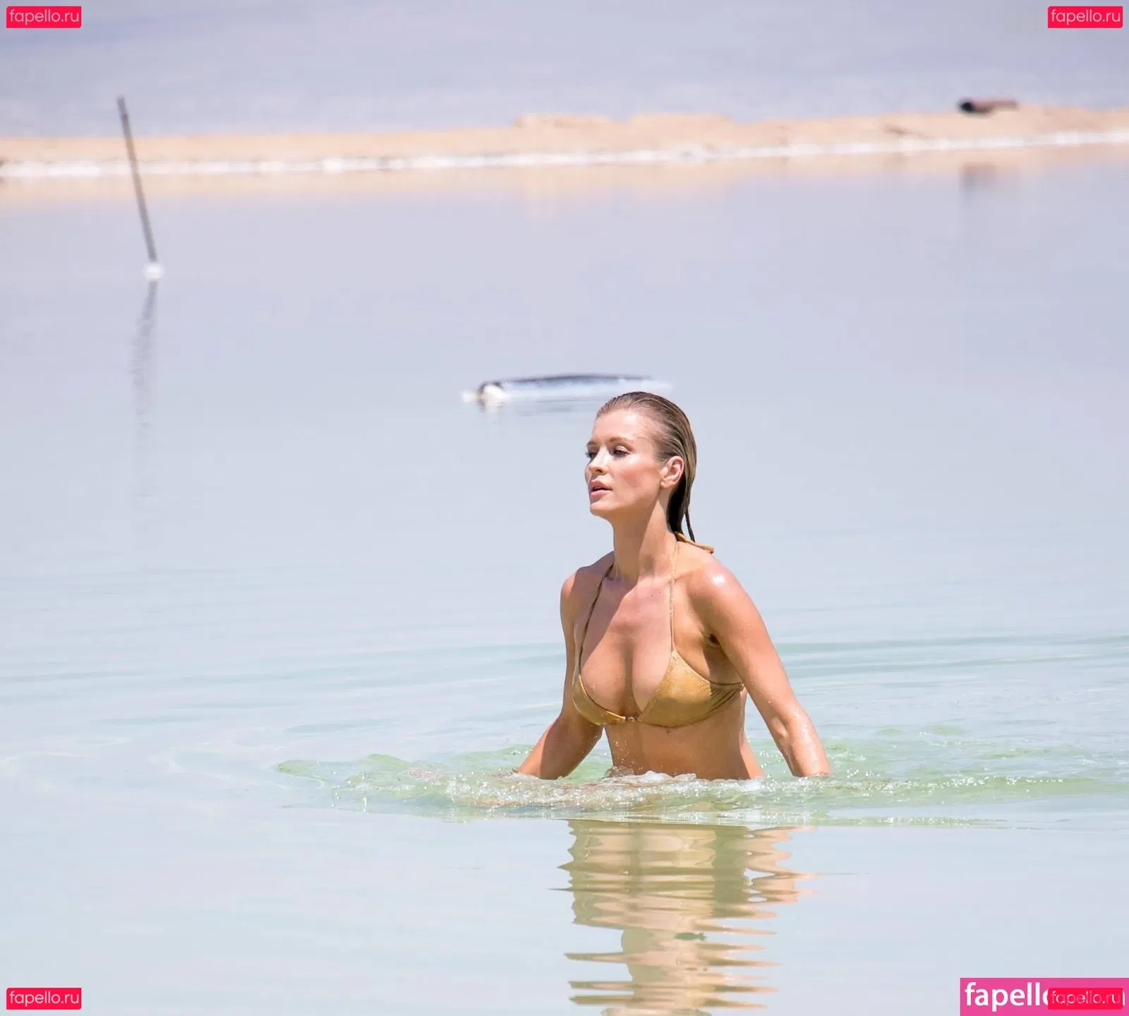 Joanna Krupa Onlyfans Photo Gallery 