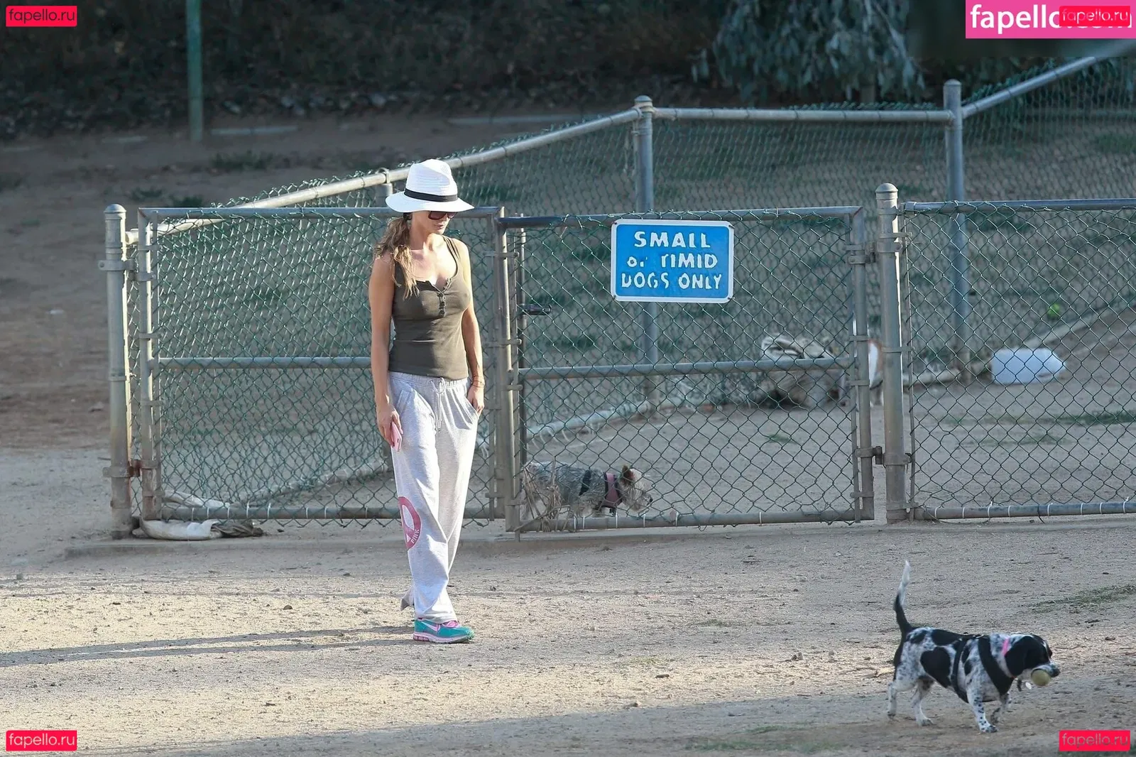 Joanna Krupa Onlyfans Photo Gallery 