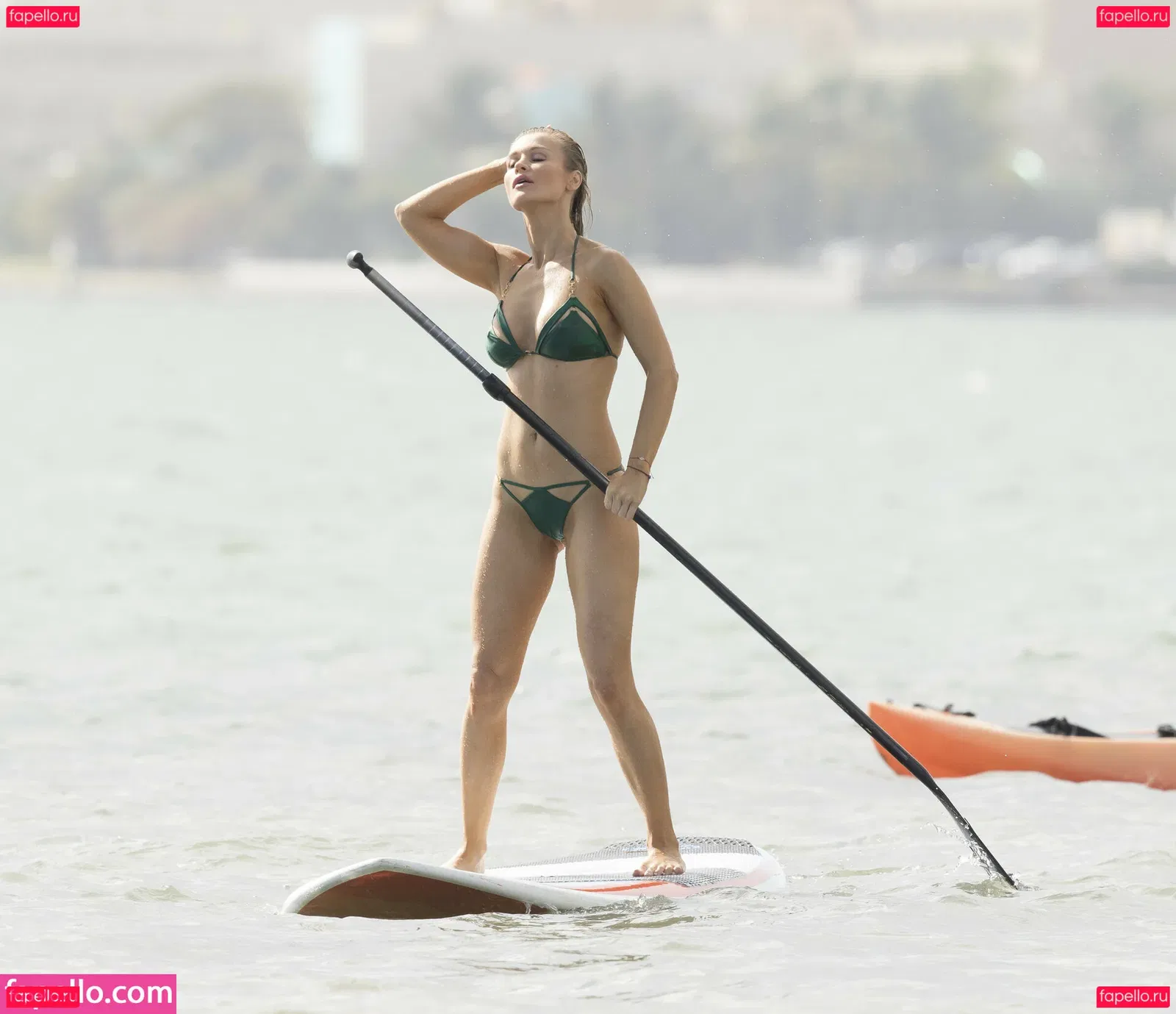 Joanna Krupa Onlyfans Photo Gallery 