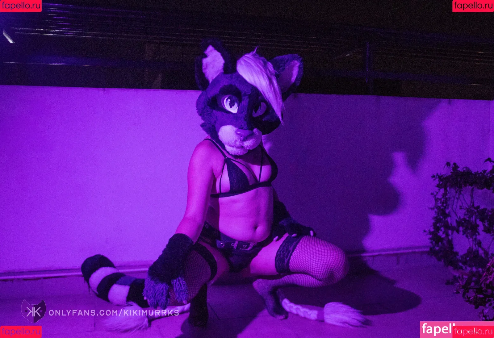 kikimurrks Onlyfans Photo Gallery 