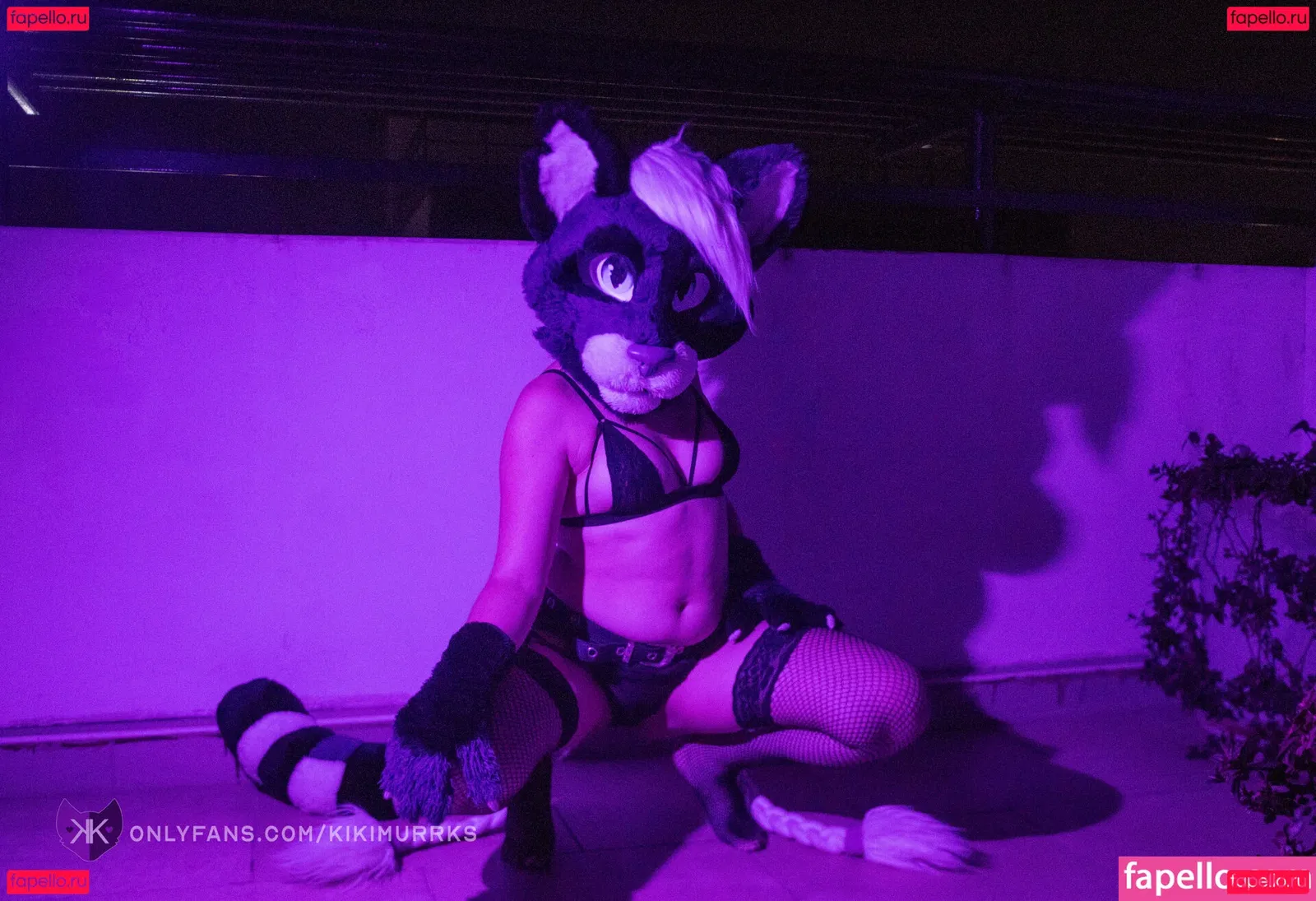 kikimurrks Onlyfans Photo Gallery 