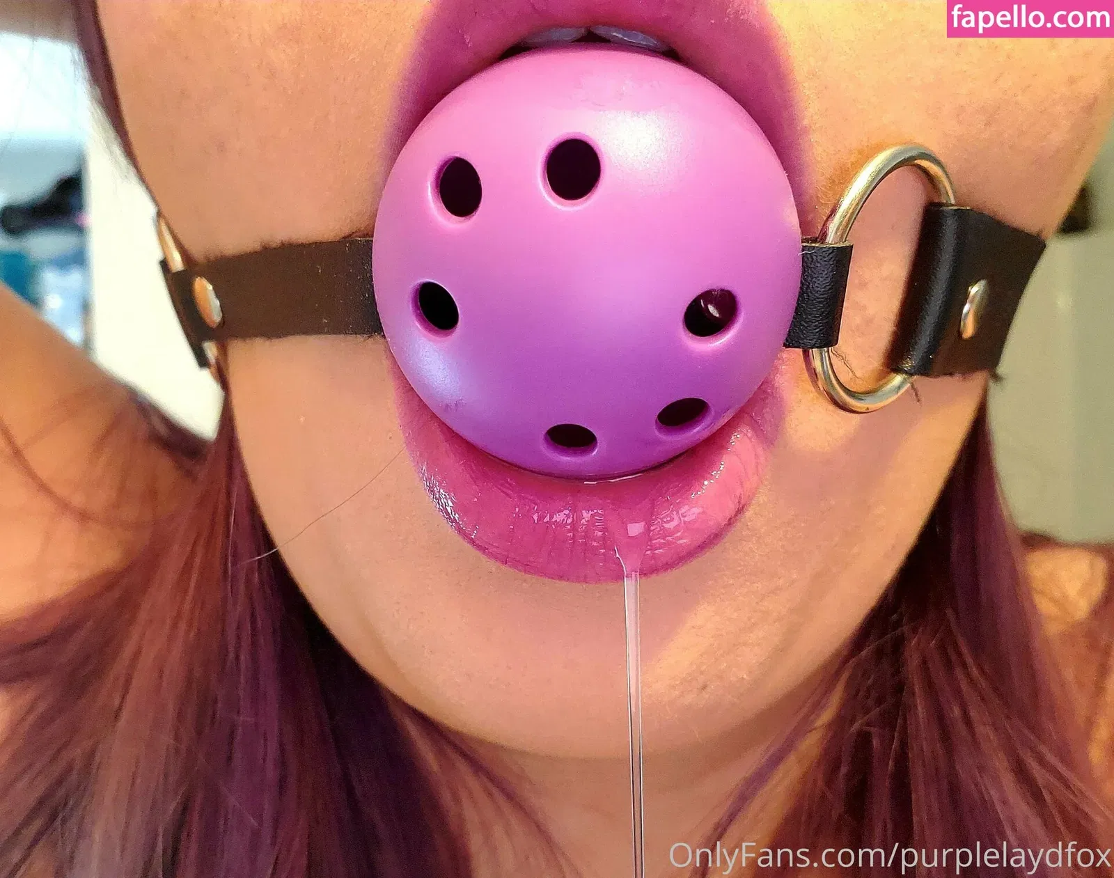 purplelaydfox Onlyfans Photo Gallery 