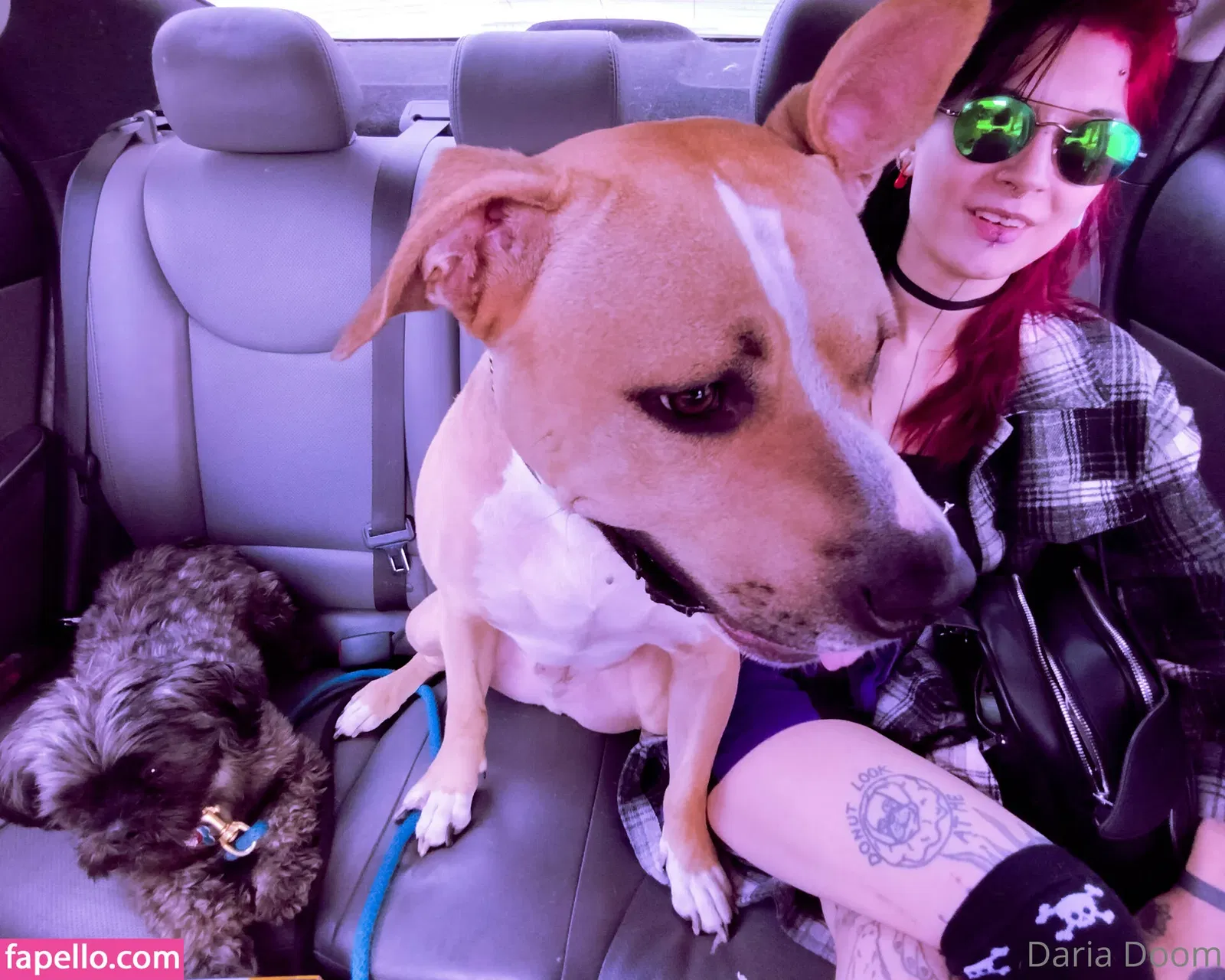 dariadoom Onlyfans Photo Gallery 