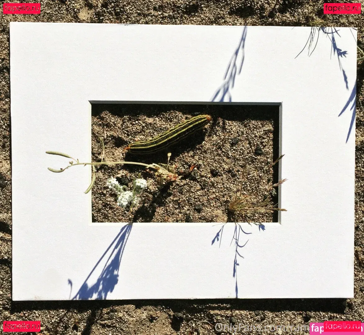 Marie Sweets Onlyfans Photo Gallery 