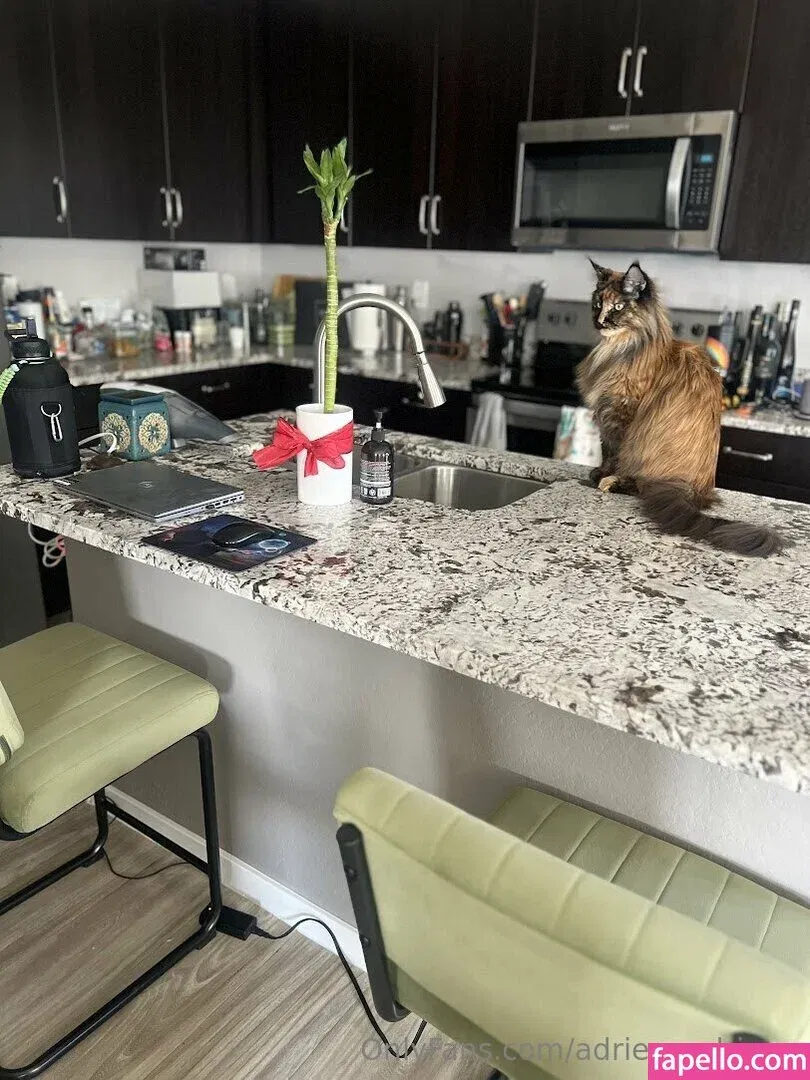 adriennedriggs Onlyfans Photo Gallery 