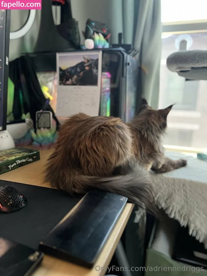 adriennedriggs Onlyfans Photo Gallery 