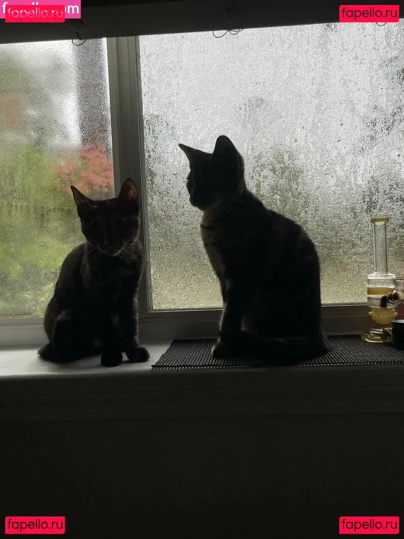 kinkykha Onlyfans Photo Gallery 