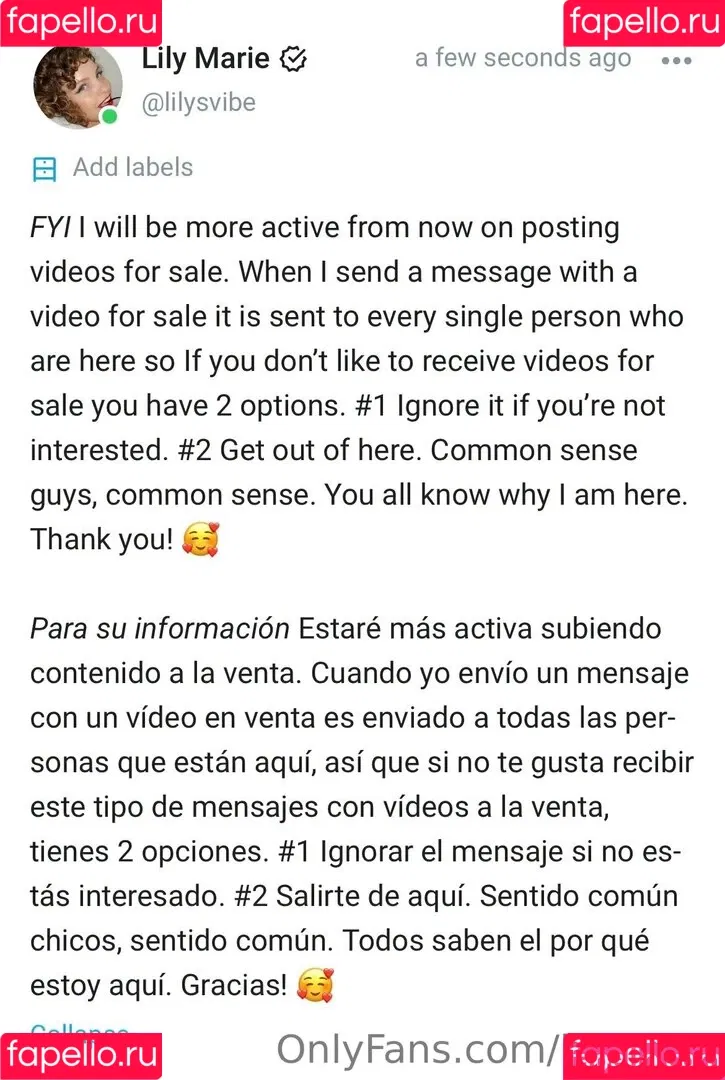 lilysvibe Onlyfans Photo Gallery 