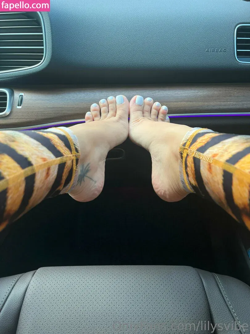 lilysvibe Onlyfans Photo Gallery 