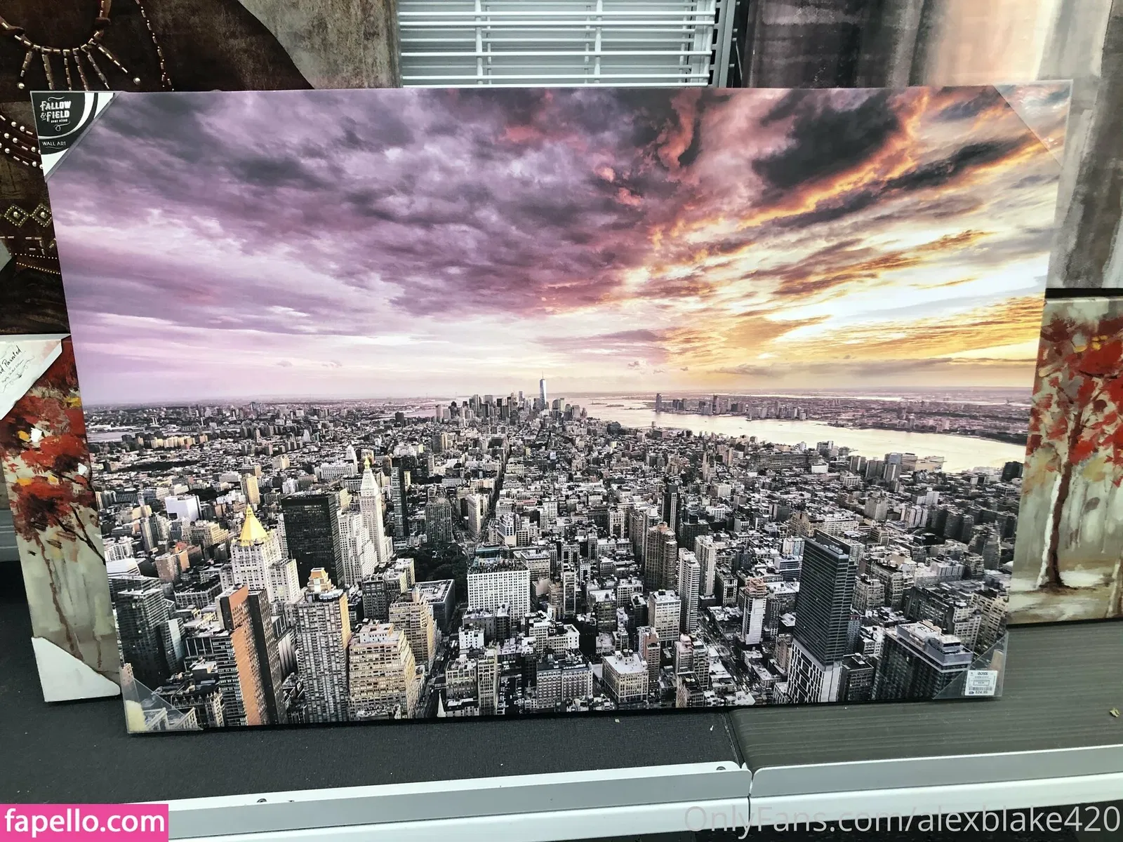 alexblake420 Onlyfans Photo Gallery 