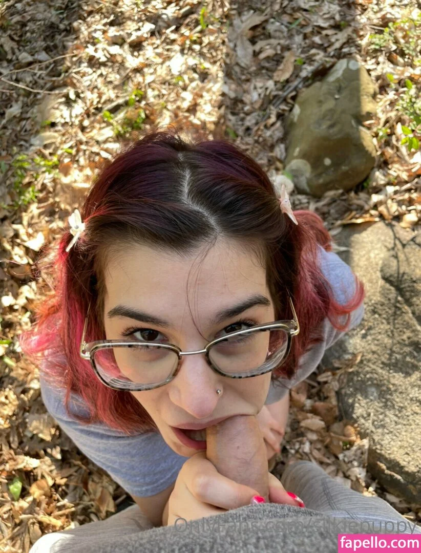 silkiepuppy Onlyfans Photo Gallery 