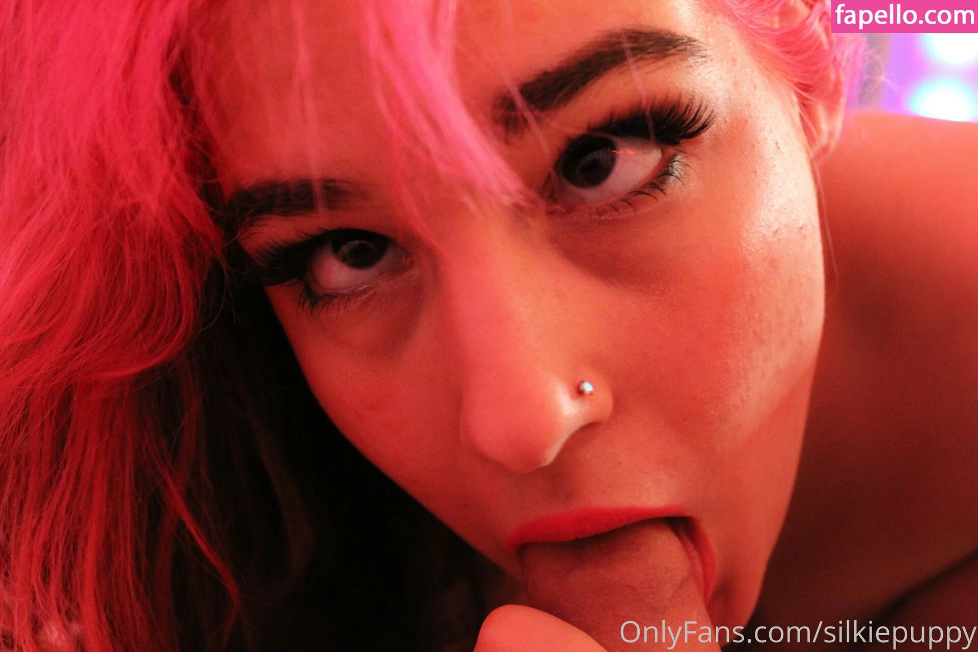 silkiepuppy Onlyfans Photo Gallery 