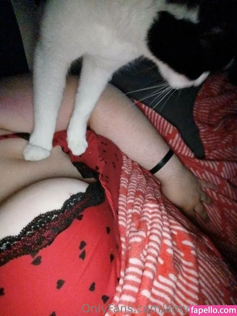 amy.insanity Onlyfans Photo Gallery 