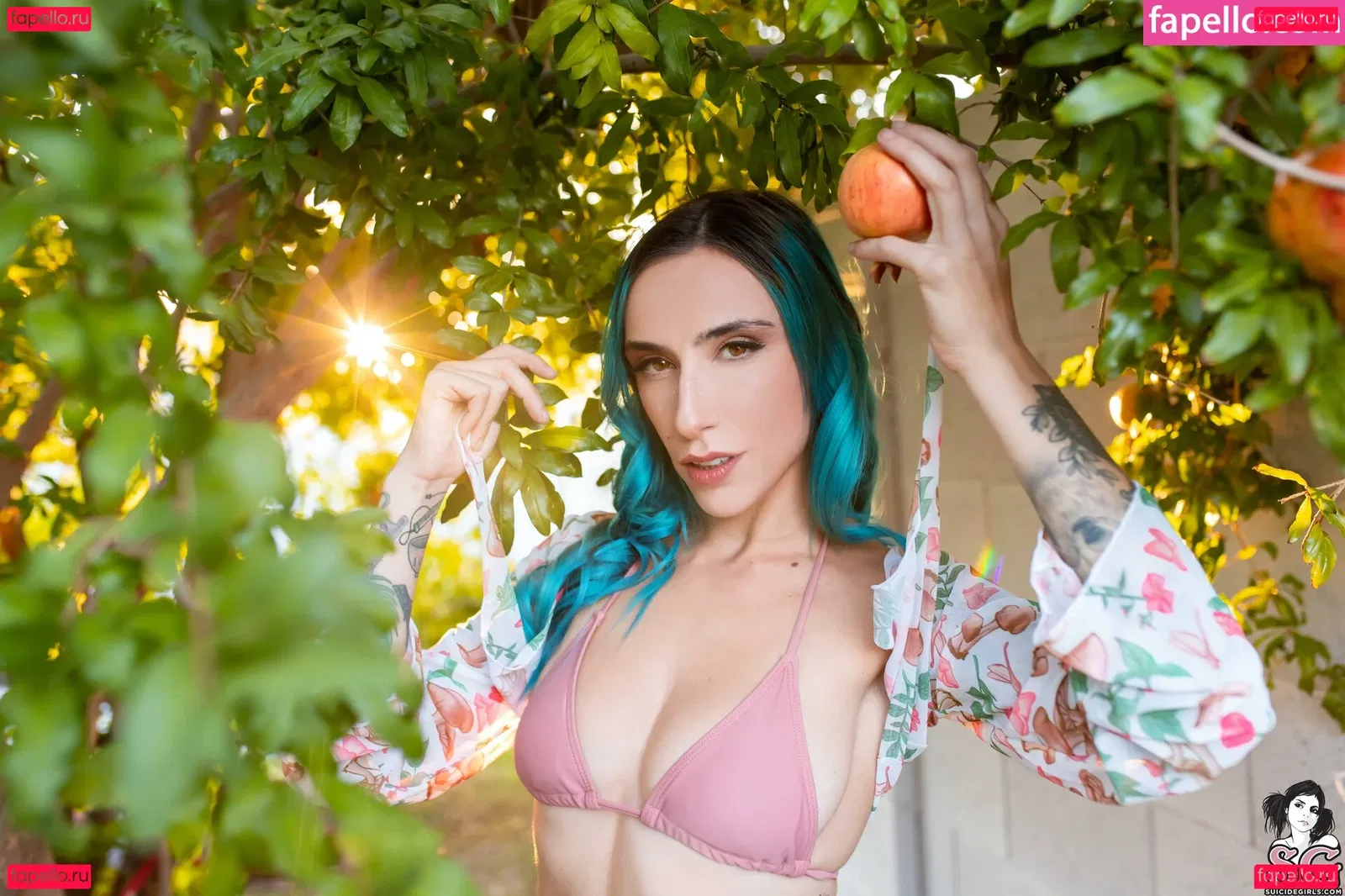 Boobasg Onlyfans Photo Gallery 