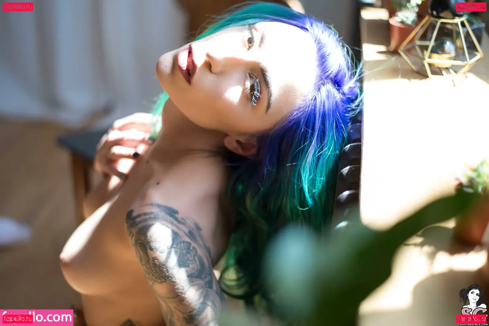 Boobasg Onlyfans Photo Gallery 