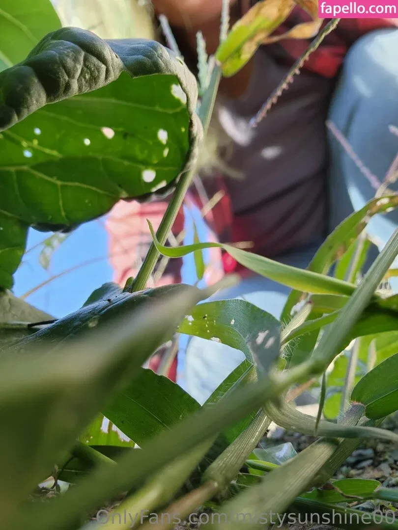 mistysunshine00 Onlyfans Photo Gallery 