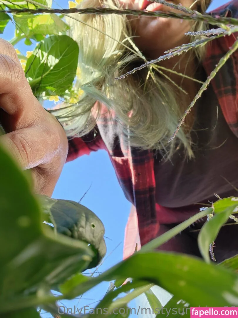 mistysunshine00 Onlyfans Photo Gallery 