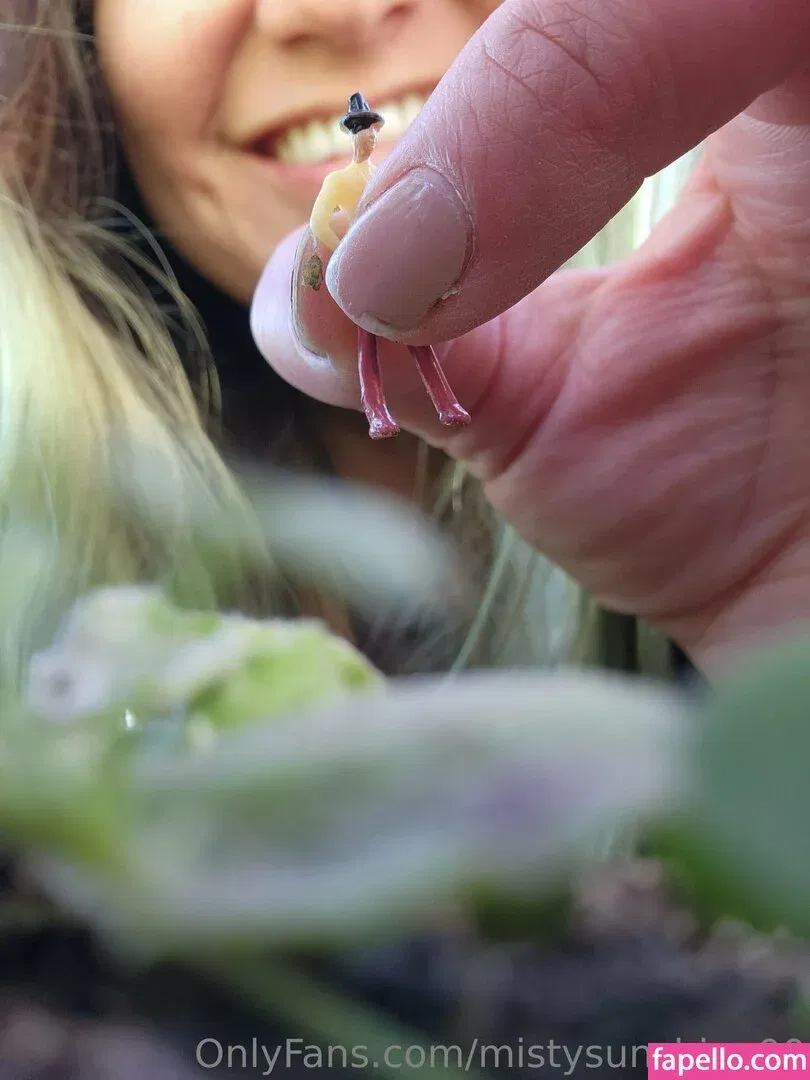 mistysunshine00 Onlyfans Photo Gallery 