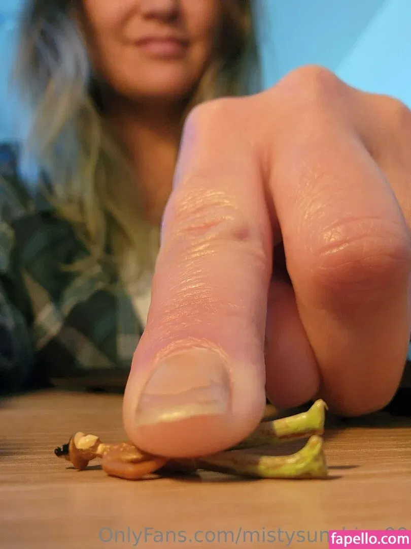 mistysunshine00 Onlyfans Photo Gallery 