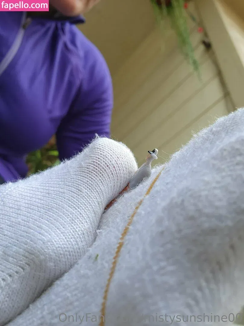 mistysunshine00 Onlyfans Photo Gallery 