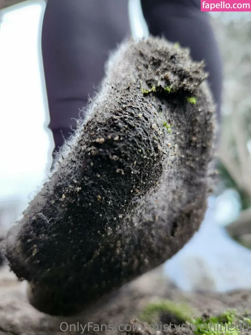 mistysunshine00 Onlyfans Photo Gallery 