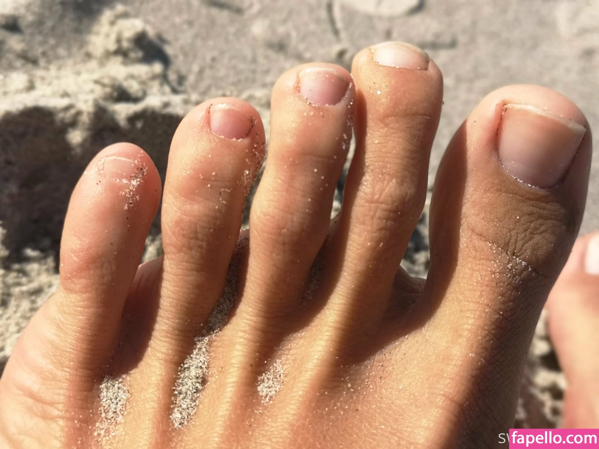 sweetfeetnz Onlyfans Photo Gallery 