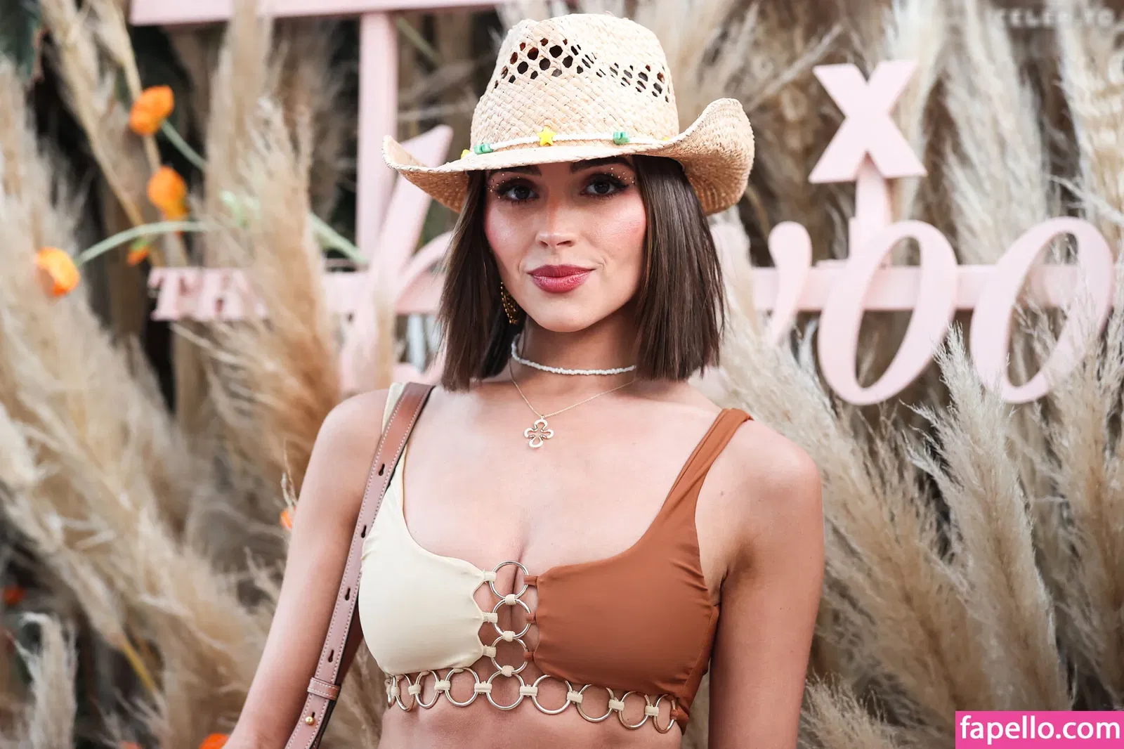 Olivia Culpo Onlyfans Photo Gallery 