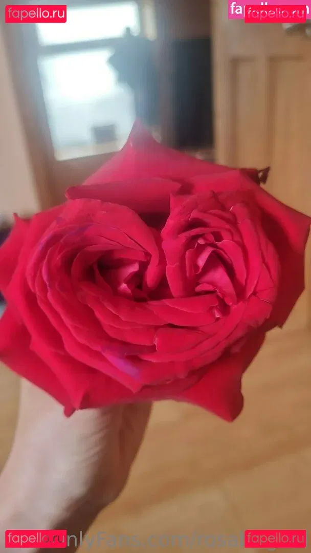 rosabrighid Onlyfans Photo Gallery 