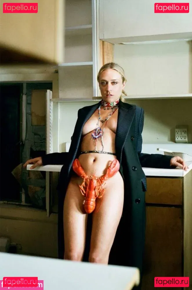 Chloe Sevigny Onlyfans Photo Gallery 