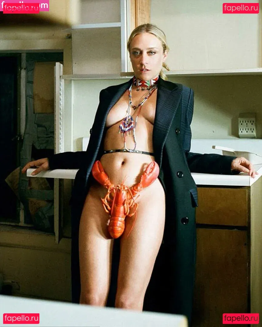 Chloe Sevigny Onlyfans Photo Gallery 