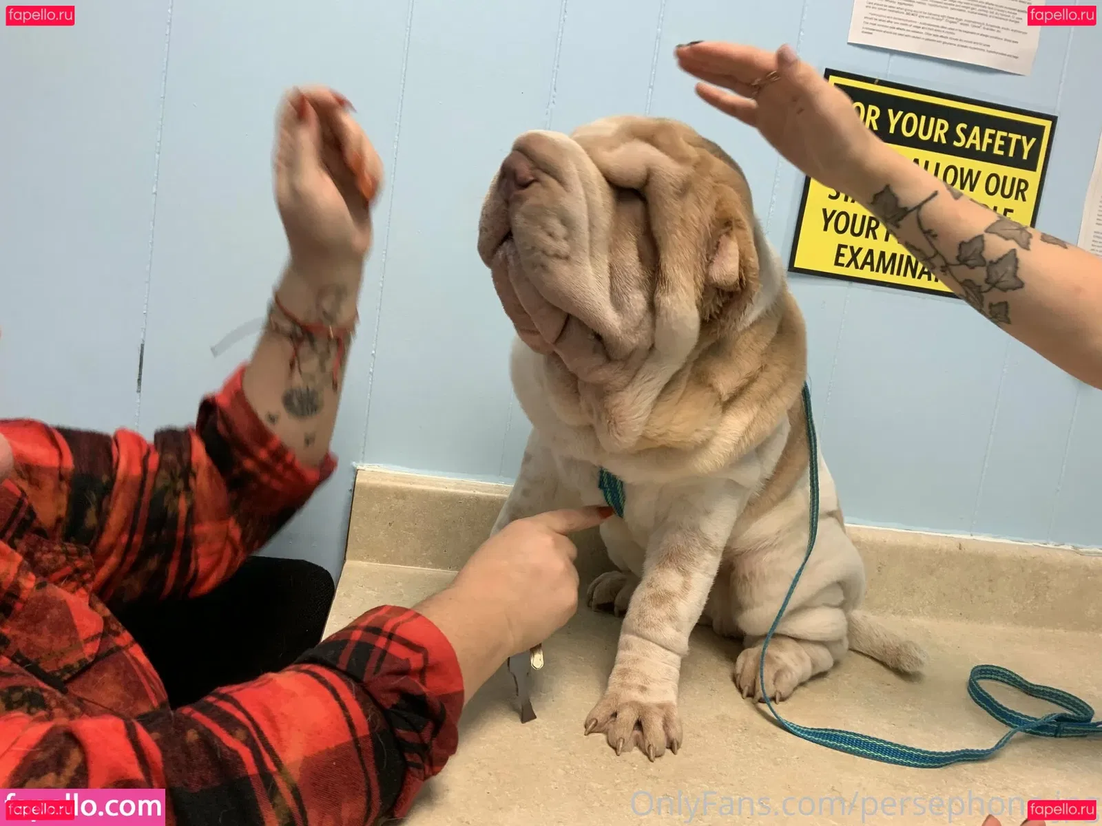 persephone27x Onlyfans Photo Gallery 