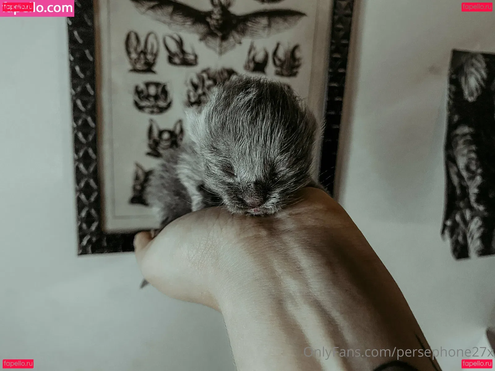 persephone27x Onlyfans Photo Gallery 